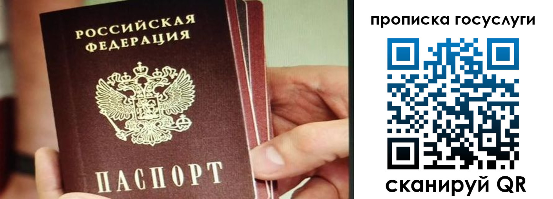 пропишу в квартире в Краснодаре